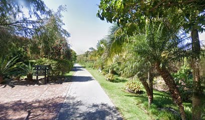 panoidIDtehkrfEkEtk y4xaW2GAcb clientsearch.gws prod.gpsw408h240yaw81.42016pitch0thumbfov100replace